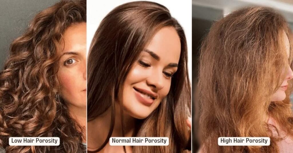 Low Porosity Hair Meaning
